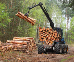 Bois de chauffage à Millau
